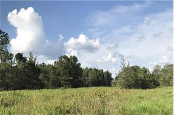 Primary listing photos for listing ID 484411