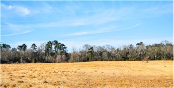 Primary listing photos for listing ID 499208