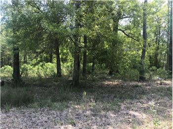 Primary listing photos for listing ID 503881