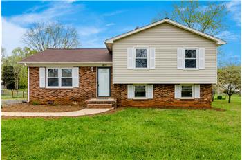 Primary listing photos for listing ID 504703