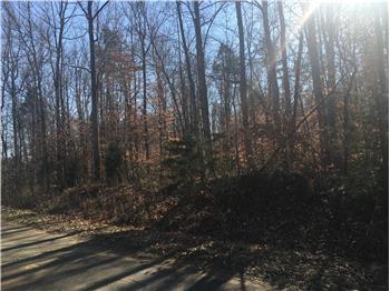 Primary listing photos for listing ID 505686