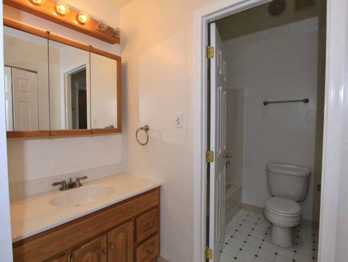 1504 Denise Circle, Phoenixville, PA  Master Bath