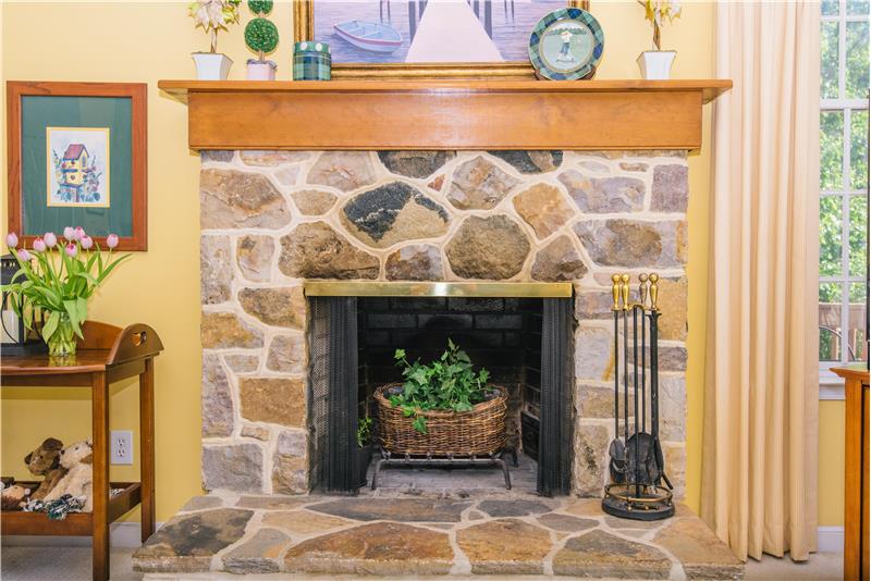1708 Adler Lane Family Room Fireplace