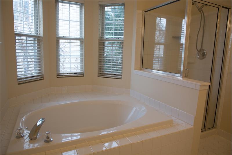 221 Valley Forge Lookout Place - Bathroom