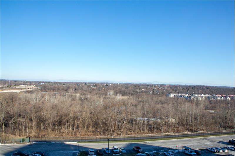 20836 Valley Forge Circle Views from 8th floor balcony