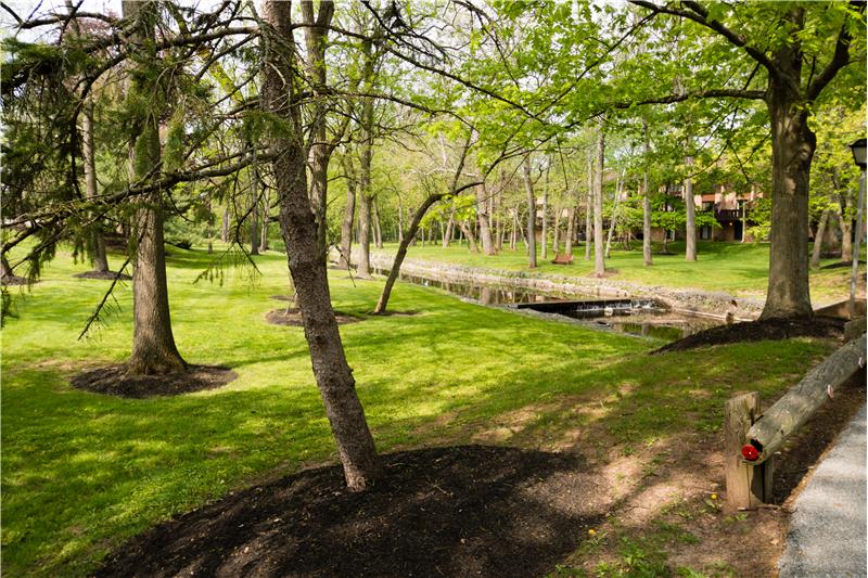 1203 Stonybrook Drive Exterior