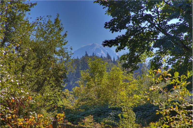 Yes!! This is your view of our beautiful, snow capped Mt. Rainier. 