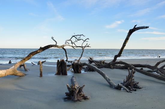 hunting Islandf Beaufort SC