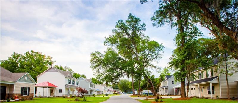 Mint Farm beaufort community