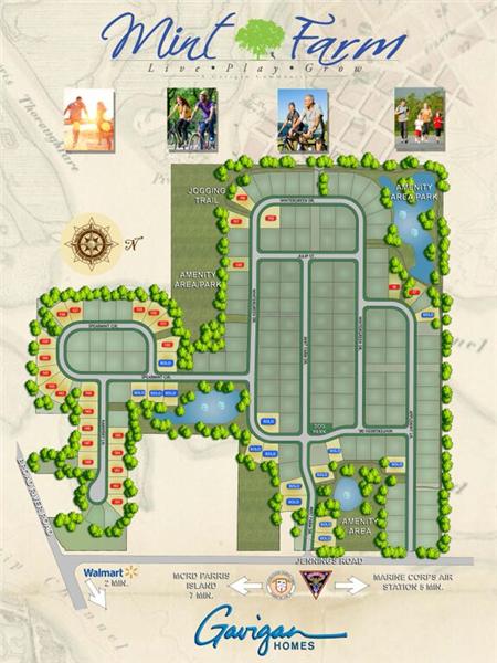 Mint Farm neighborhood