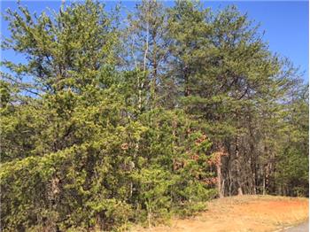Primary listing photos for listing ID 479488