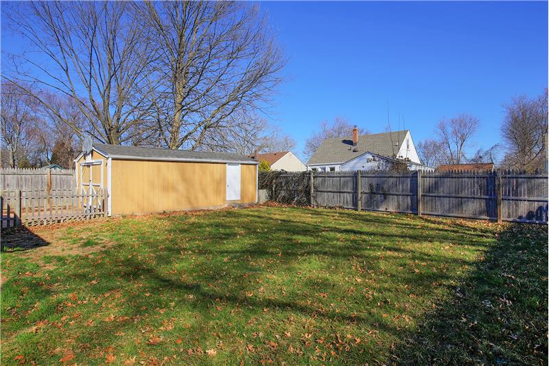 Back yard