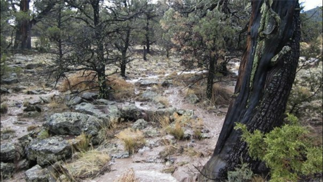 Monsoon season brings a stream through your property