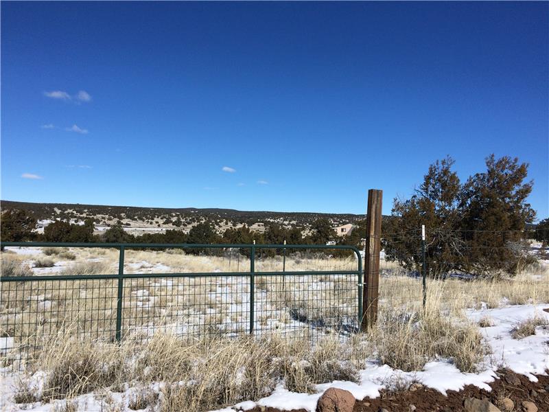 Fence and Cross fencing on Property