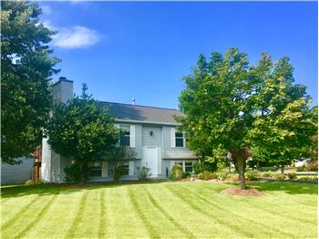 Primary listing photos for listing ID 519725