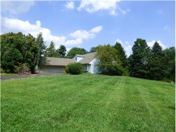 Primary listing photos for listing ID 423362