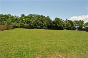 Primary listing photos for listing ID 451426