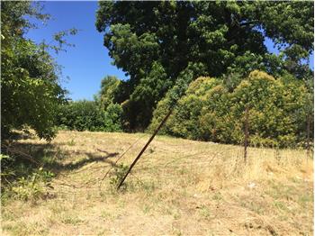 Primary listing photos for listing ID 446122