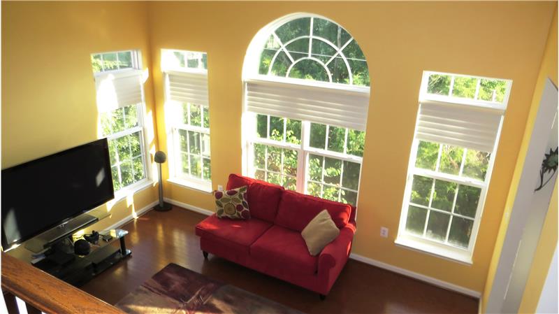 Living Room with Palladian Window