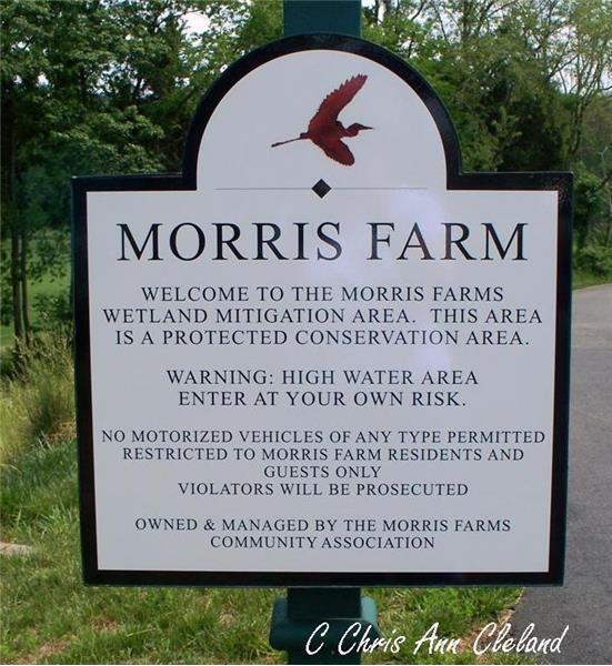 Morris Farm Nature Preserve