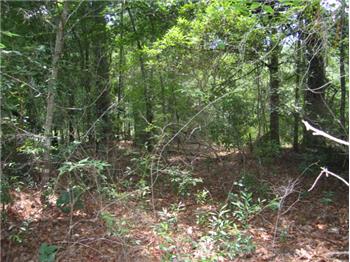 Primary listing photos for listing ID 440427