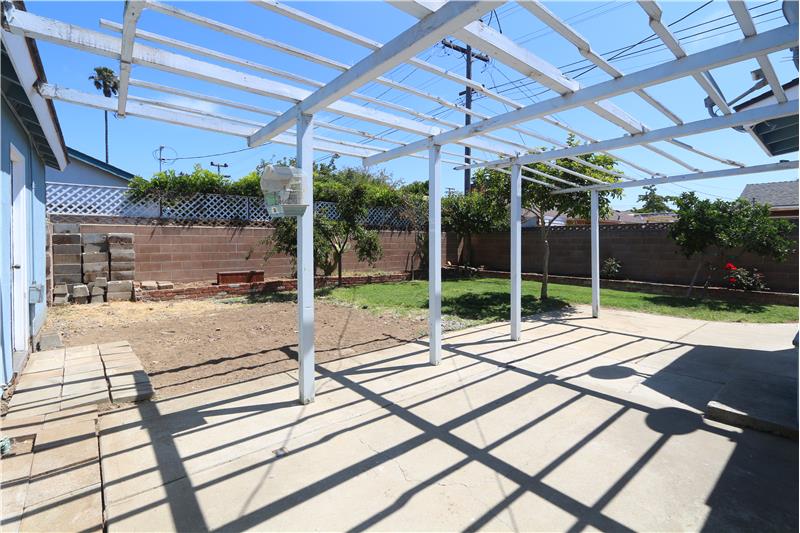 Back yard