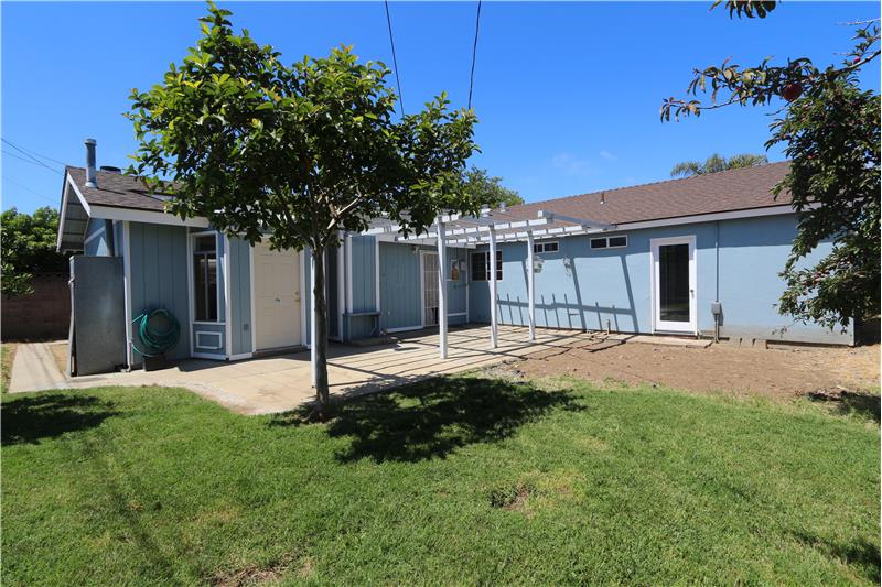 Back yard