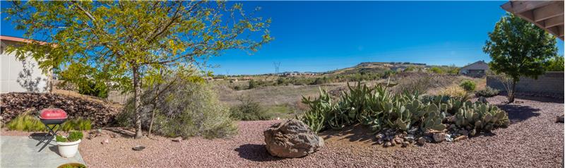 Backyard view 2
