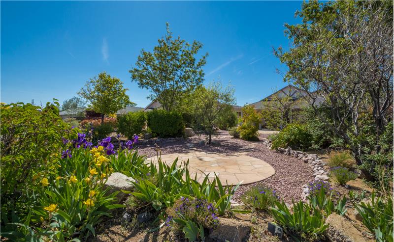 Back Patio