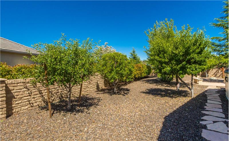 Backyard Orchard