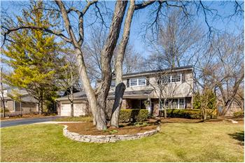 Primary listing photos for listing ID 504183