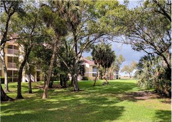 Primary listing photos for listing ID 503700