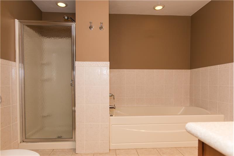 Master BR Jetted Tub and Walk In Shower