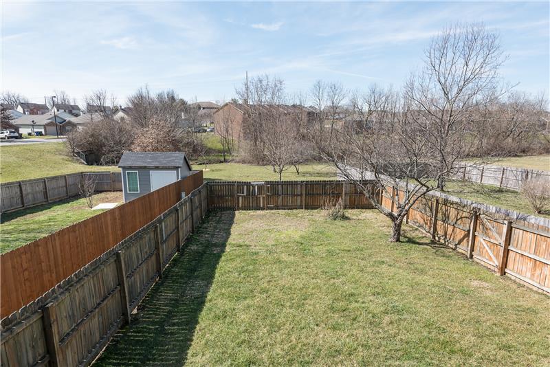 Rear Yard
