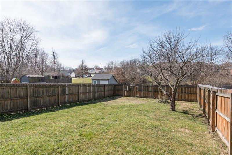 Rear Yard