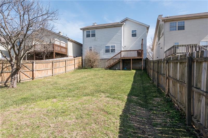 Rear Yard