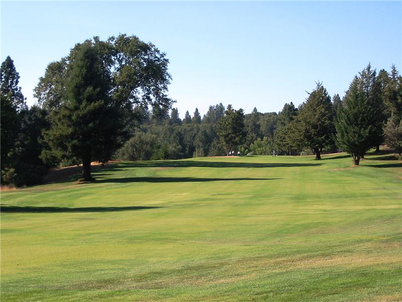 Beautiful Fairways
