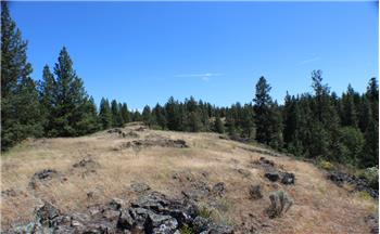 Primary listing photos for listing ID 479052