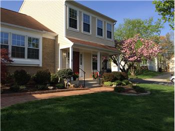 Primary listing photos for listing ID 505374