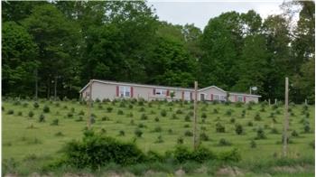 Primary listing photos for listing ID 517583