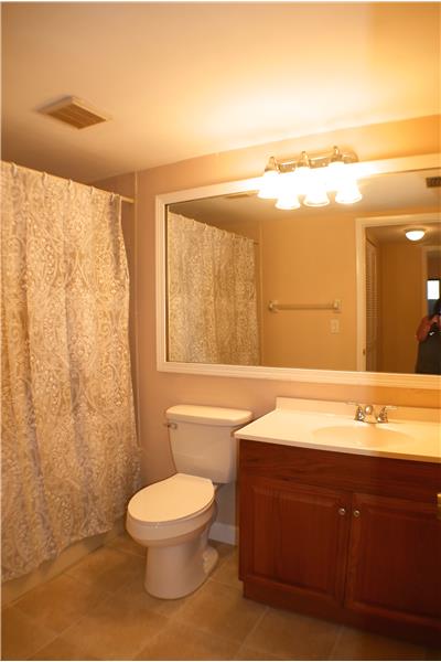 Master bath with garden soaking tub