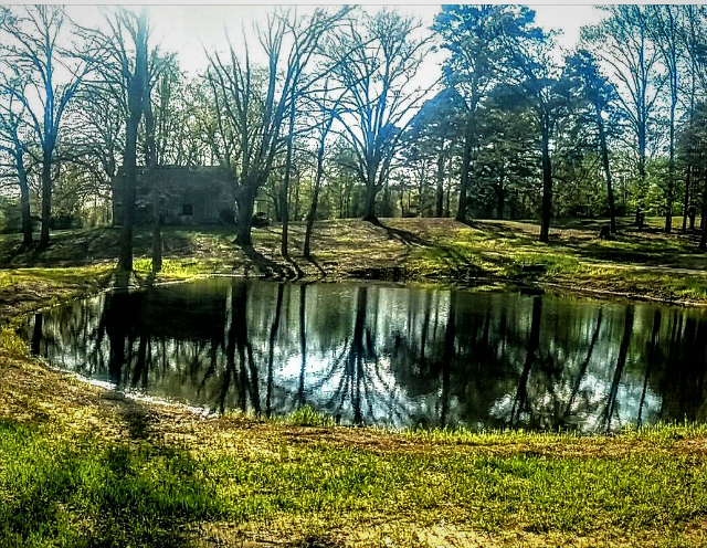 View of Pond and 100 Year Old Barn