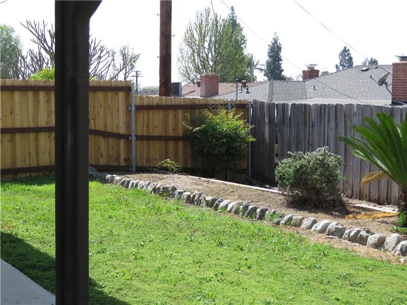 Backyard