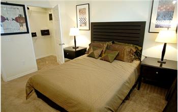 Primary listing photos for listing ID 458984