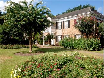 Primary listing photos for listing ID 459068