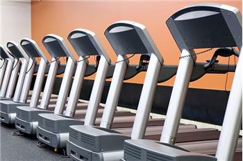 Primary listing photos for listing ID 459299