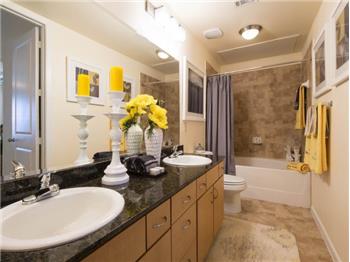 Primary listing photos for listing ID 459704