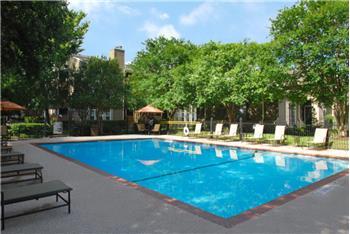 Primary listing photos for listing ID 459705