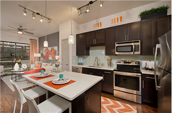 Primary listing photos for listing ID 481454