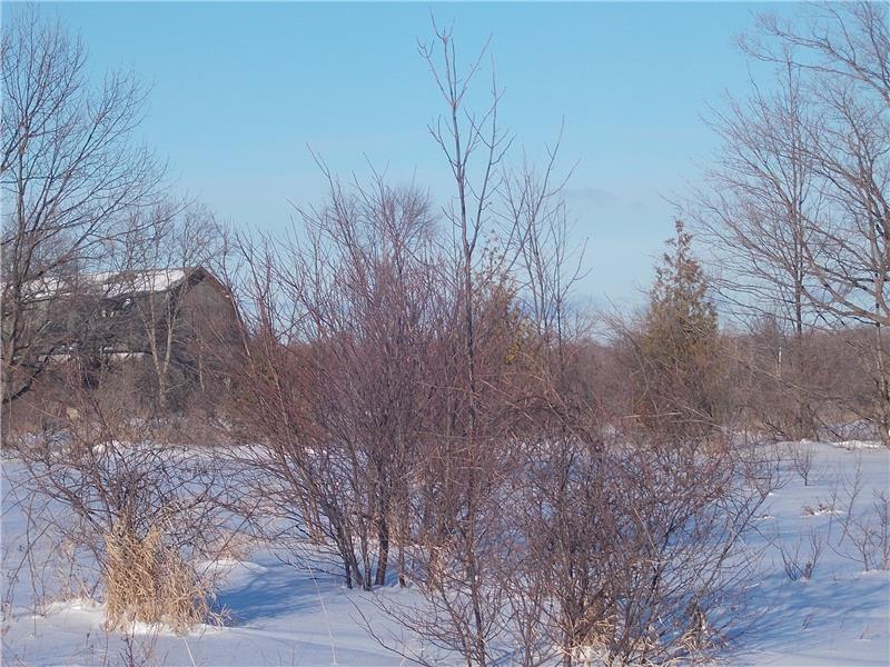 Winter Barn View: Build your Dream Home Here